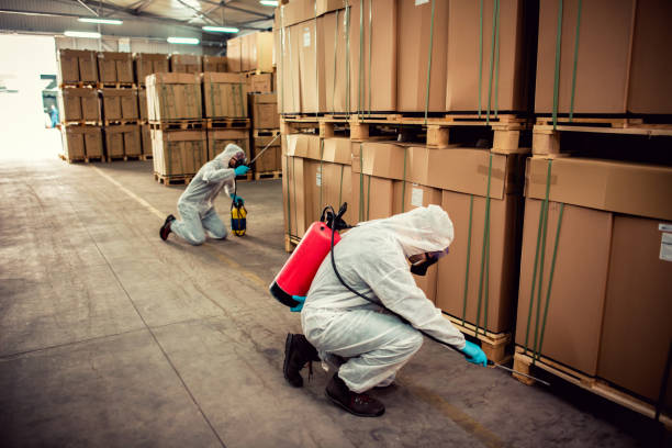 Best Pest Removal Services  in Mountain View, NC