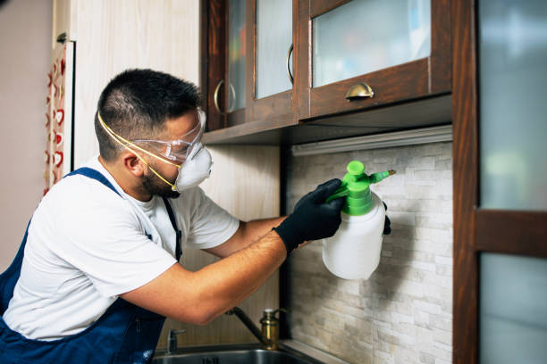 Best Ant Control Services  in Mountain View, NC