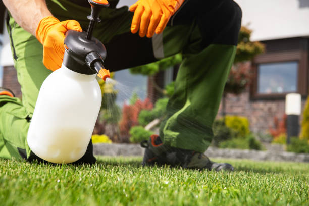 Best Spider Control Near Me  in Mountain View, NC