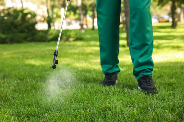 Best Pest Control Near Me  in Mountain View, NC