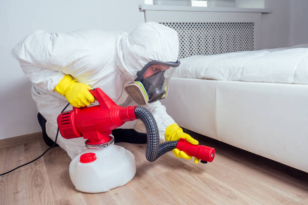 Best Bed Bug Extermination  in Mountain View, NC