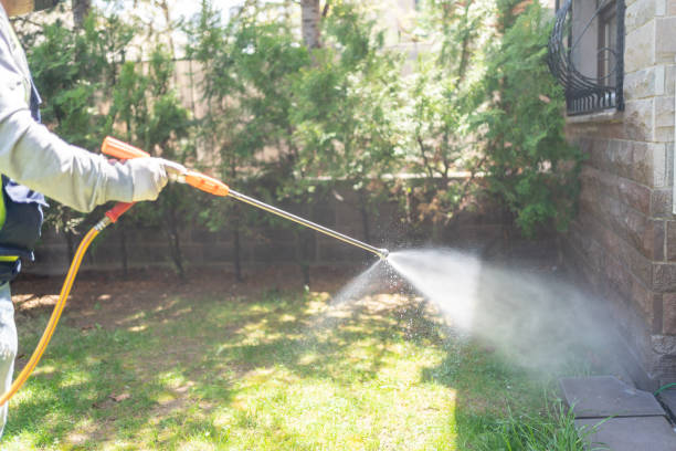 Best Residential Pest Control  in Mountain View, NC
